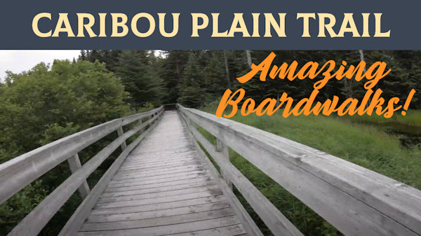 Caribou Plain Trail (Peat Moss Attack!) - Fundy National Park
